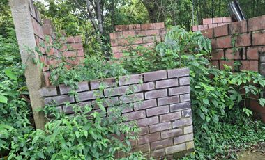 FINCA PLANA DE UNA HECTÁREA POR LA VÍA HACIA AMALFI ANTIOQUIA COLOMBIA.