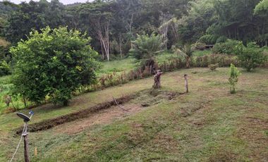 FINCA PLANA DE UNA HECTÁREA POR LA VÍA HACIA AMALFI ANTIOQUIA COLOMBIA.