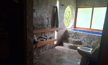 FINCA PLANA DE UNA HECTÁREA POR LA VÍA HACIA AMALFI ANTIOQUIA COLOMBIA.