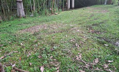 FINCA PLANA DE UNA HECTÁREA POR LA VÍA HACIA AMALFI ANTIOQUIA COLOMBIA.