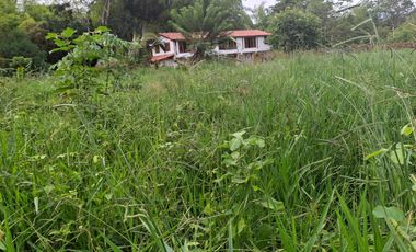 FINCA PLANA DE UNA HECTÁREA POR LA VÍA HACIA AMALFI ANTIOQUIA COLOMBIA.