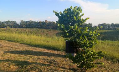 Se vende lote en Cerritos Pereira