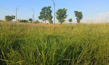 Se vende lote en Cerritos Pereira