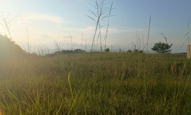 Se vende lote en Cerritos Pereira