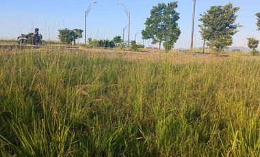 Se vende lote en Cerritos Pereira