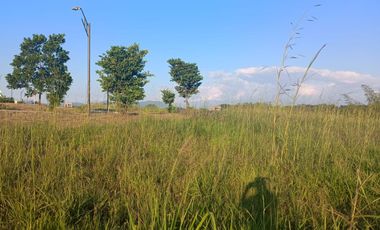 Se vende lote en Cerritos Pereira