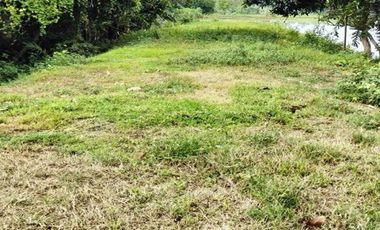 Jual Tanah 930 m2 di Balerejo Madiun Dekat SMPN 1 Balerejo, Gerbang Tol Madiun, Pasar Kajang