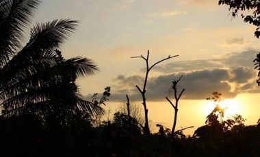 HACIENDA AGRICOLA GANADERA VALLE HERMOSO 33 Ha