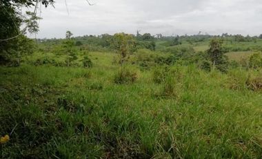 HACIENDA AGRICOLA GANADERA VALLE HERMOSO 33 Ha