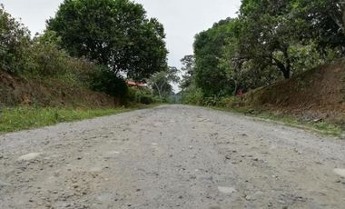 HACIENDA AGRICOLA GANADERA VALLE HERMOSO 33 Ha