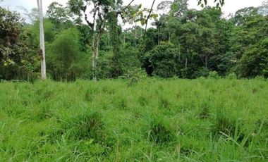 HACIENDA AGRICOLA GANADERA VALLE HERMOSO 33 Ha