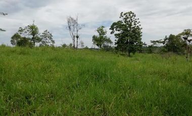 HACIENDA AGRICOLA GANADERA VALLE HERMOSO 33 Ha