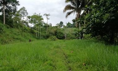 HACIENDA AGRICOLA GANADERA VALLE HERMOSO 33 Ha