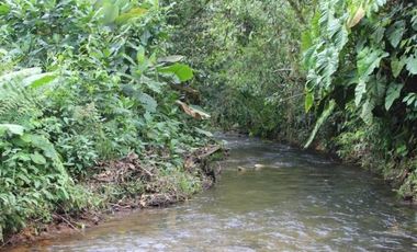 HACIENDA AGRICOLA GANADERA VALLE HERMOSO 33 Ha