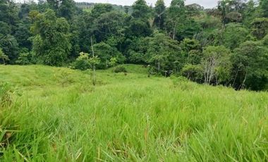 HACIENDA AGRICOLA GANADERA VALLE HERMOSO 33 Ha