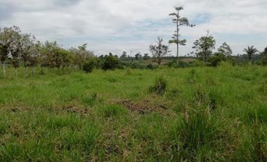 HACIENDA AGRICOLA GANADERA VALLE HERMOSO 33 Ha