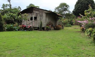 HACIENDA AGRICOLA GANADERA VALLE HERMOSO 33 Ha