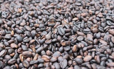 HACIENDA AGRICOLA GANADERA VALLE HERMOSO 33 Ha