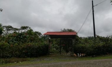 HACIENDA AGRICOLA GANADERA VALLE HERMOSO 33 Ha