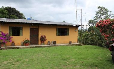 HACIENDA AGRICOLA GANADERA VALLE HERMOSO 33 Ha