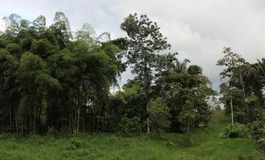 HACIENDA AGRICOLA GANADERA VALLE HERMOSO 33 Ha