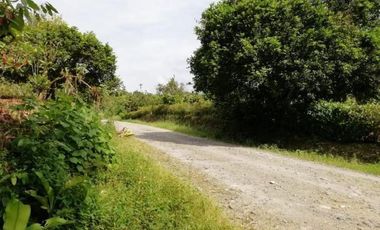 HACIENDA AGRICOLA GANADERA VALLE HERMOSO 33 Ha