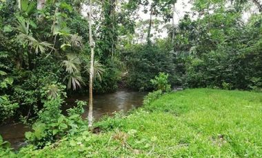 HACIENDA AGRICOLA GANADERA VALLE HERMOSO 33 Ha