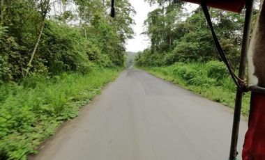 HACIENDA AGRICOLA GANADERA VALLE HERMOSO 33 Ha