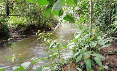 HACIENDA AGRICOLA GANADERA VALLE HERMOSO 33 Ha