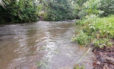 HACIENDA AGRICOLA GANADERA VALLE HERMOSO 33 Ha