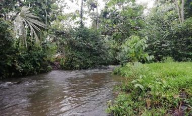 HACIENDA AGRICOLA GANADERA VALLE HERMOSO 33 Ha