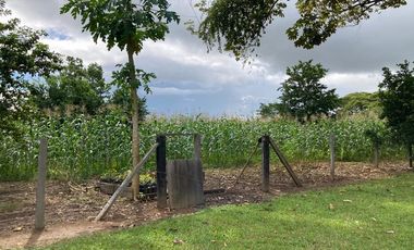 VENDO FINCA EN EL PLACER VICHADA 17.000 HECTAREAS EN LA VEREDA LA ESMERALDA