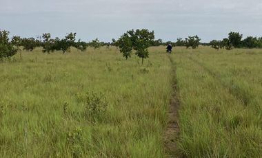 VENDO FINCA EN EL PLACER VICHADA 17.000 HECTAREAS EN LA VEREDA LA ESMERALDA