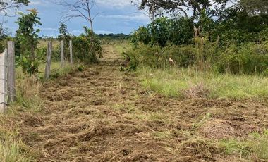 VENDO FINCA EN EL PLACER VICHADA 17.000 HECTAREAS EN LA VEREDA LA ESMERALDA