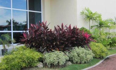 Spacious Two Bedrooms Beach Condo (96 sqm) in La MIrada Vistamar Beach Resort