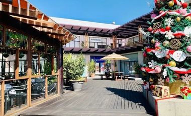 LOCAL EN RENTA PLAZA DEL PARQUE $26,000