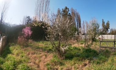 Venta Parcela de 922 mtr con casa de 90 mtr en Lo MIranda, Doñihue , Región de O`Higgins