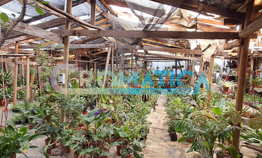 Venta de Casa en Sector Los Alpes, Rancagua