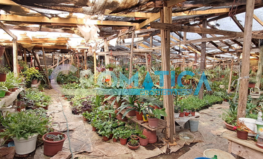 Venta de Casa en Sector Los Alpes, Rancagua