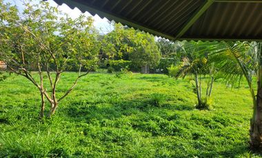 VENDO LOTE DE 1/4 DE HECTAREA CON CASA, EN RESTREPO META VIA SAN NICOLAS A 4 KM DE LA CENTRAL