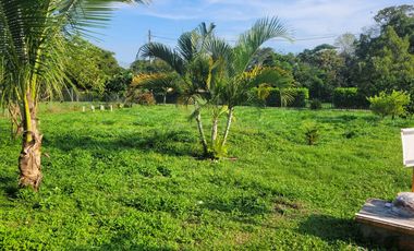 VENDO LOTE DE 1/4 DE HECTAREA CON CASA, EN RESTREPO META VIA SAN NICOLAS A 4 KM DE LA CENTRAL