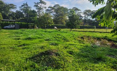 VENDO LOTE DE 1/4 DE HECTAREA CON CASA, EN RESTREPO META VIA SAN NICOLAS A 4 KM DE LA CENTRAL