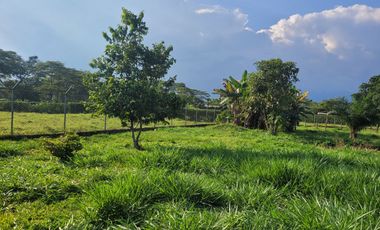 VENDO LOTE DE 1/4 DE HECTAREA CON CASA, EN RESTREPO META VIA SAN NICOLAS A 4 KM DE LA CENTRAL