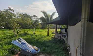 VENDO LOTE DE 1/4 DE HECTAREA CON CASA, EN RESTREPO META VIA SAN NICOLAS A 4 KM DE LA CENTRAL