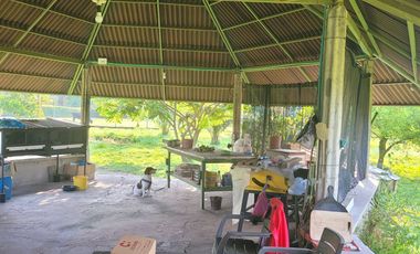 VENDO LOTE DE 1/4 DE HECTAREA CON CASA, EN RESTREPO META VIA SAN NICOLAS A 4 KM DE LA CENTRAL