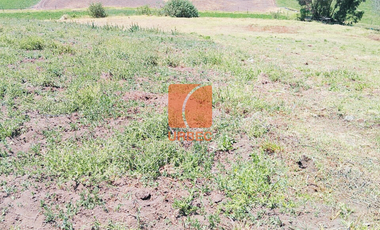 Venta-Terreno agrícola de venta , ideal para cualquier tipo de cultivo y con características y accesibilidad excepcionales en sector Llío en San André
