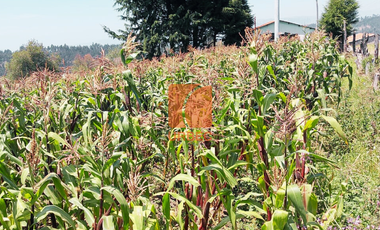 Venta-Terreno agrícola de venta , ideal para cualquier tipo de cultivo y con características y accesibilidad excepcionales en sector Llío en San André