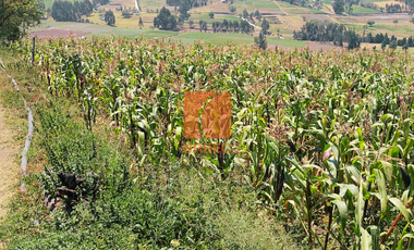 Venta-Terreno agrícola de venta , ideal para cualquier tipo de cultivo y con características y accesibilidad excepcionales en sector Llío en San André