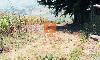 Venta-Terreno agrícola de venta , ideal para cualquier tipo de cultivo y con características y accesibilidad excepcionales en sector Llío en San André