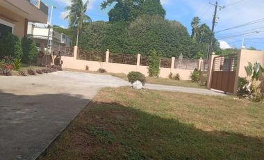 HOUSE AND LOT FOR SALE IN SAN JOSE NEGROS ORIENTAL ID 14886